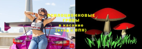 каннабис Белокуриха