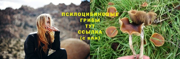 трава Беломорск