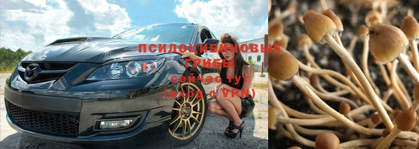 трава Беломорск