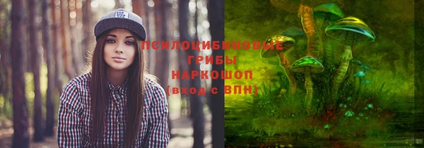 стафф Балахна